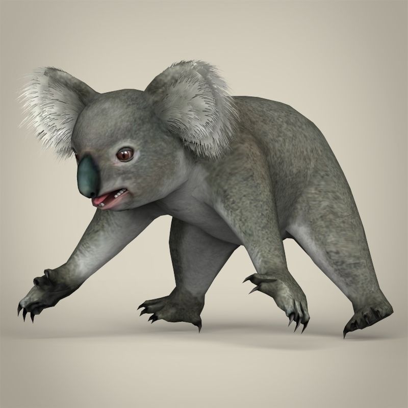Low Poly Realistic Koala 3D Model Game ready .max .obj 