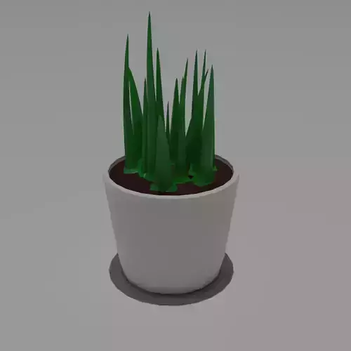 Indoor plant minimalist high poly model