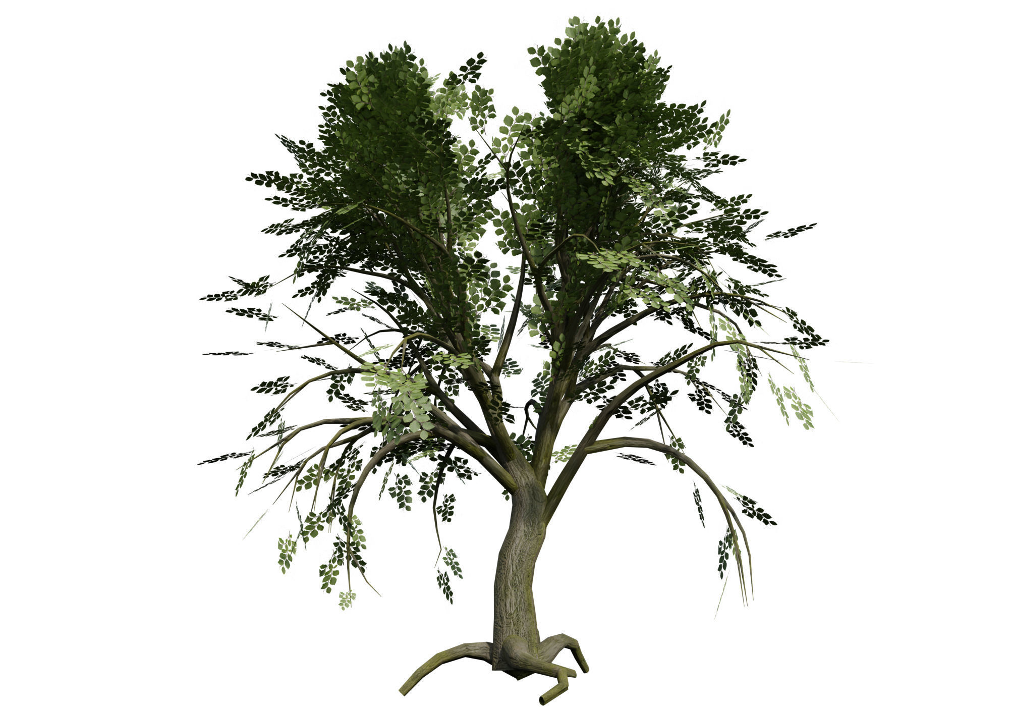 Swamp forest Low-poly 3D model_14