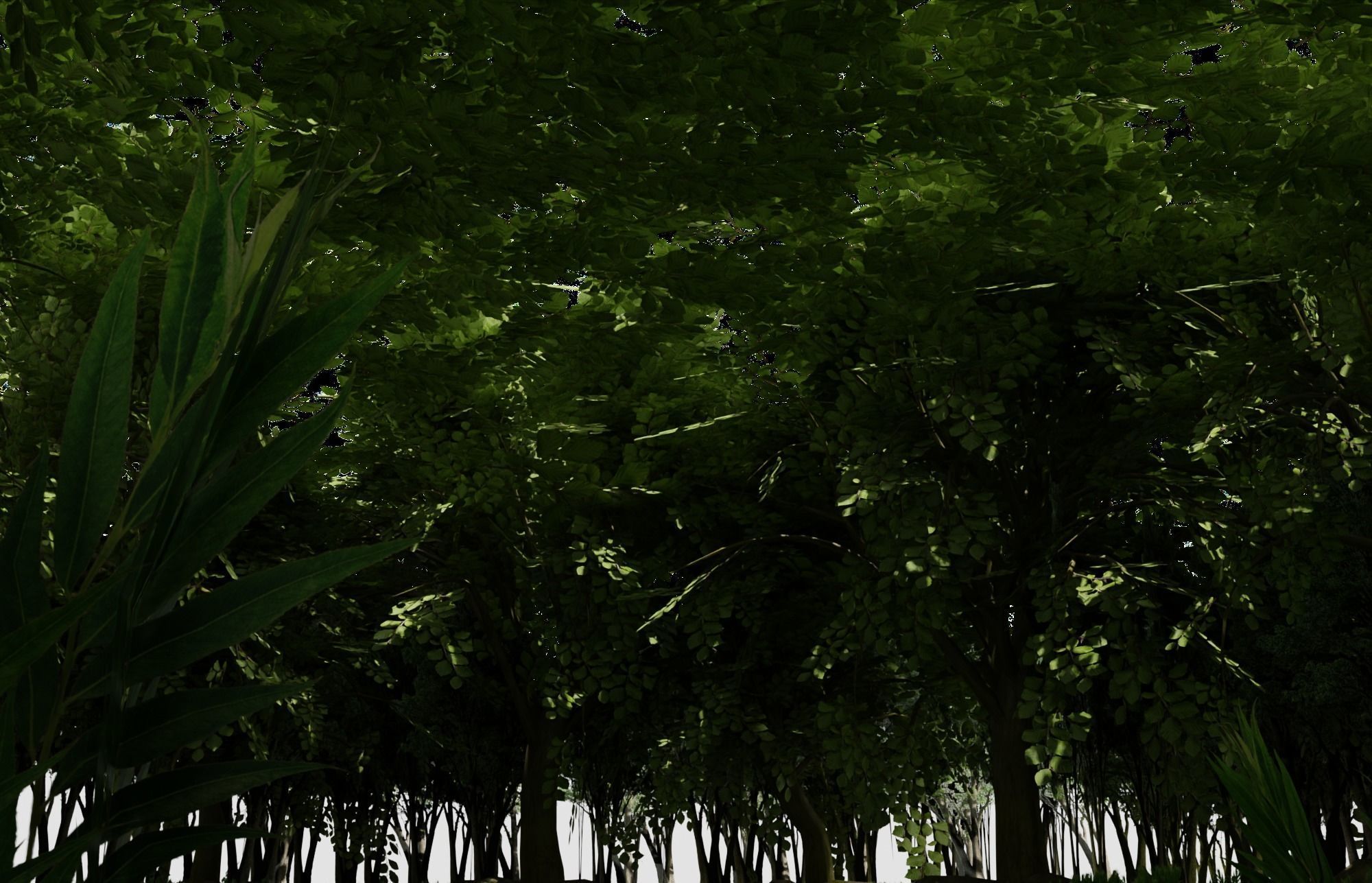 Swamp forest Low-poly 3D model_9