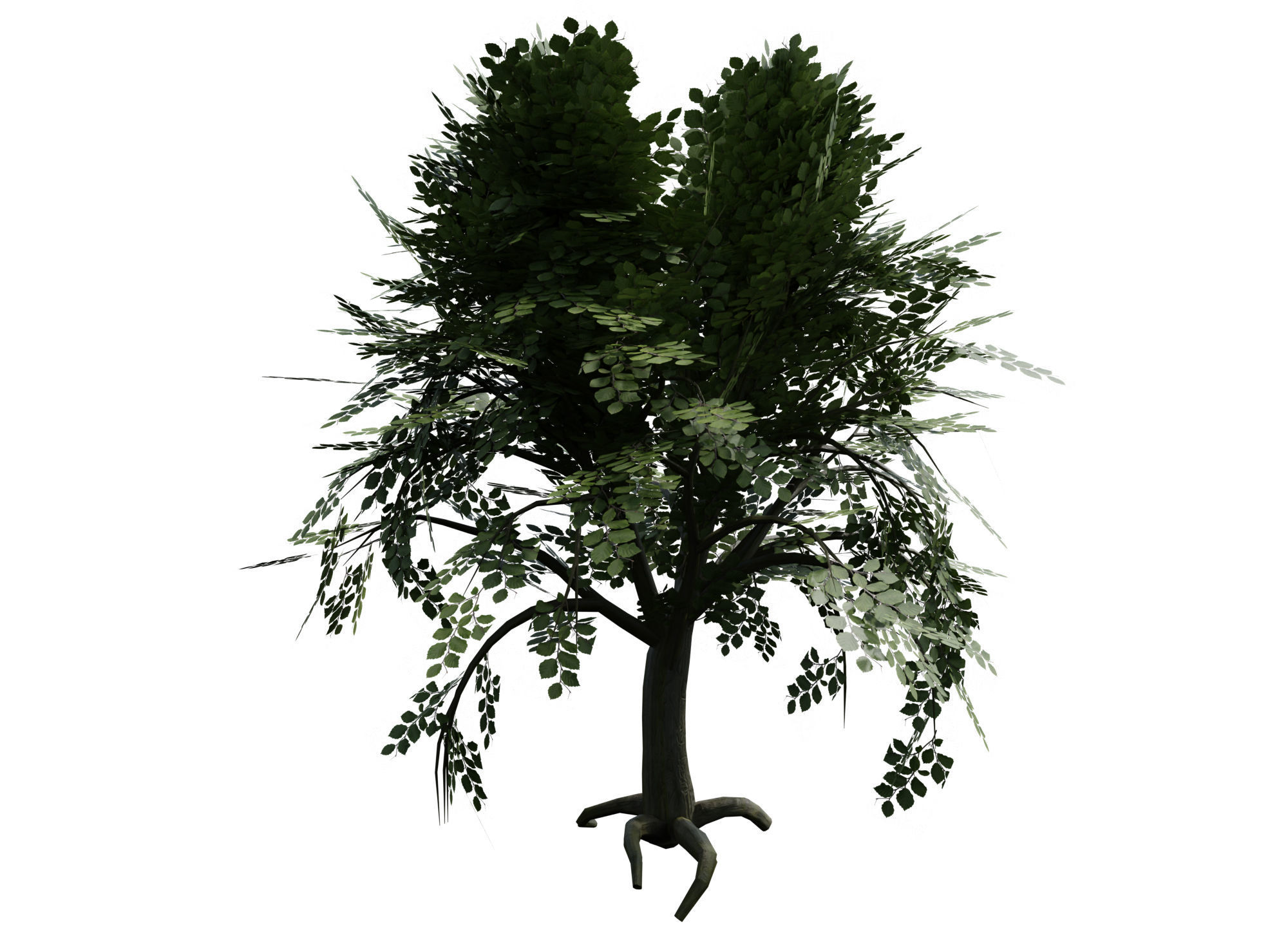 Swamp forest Low-poly 3D model_17