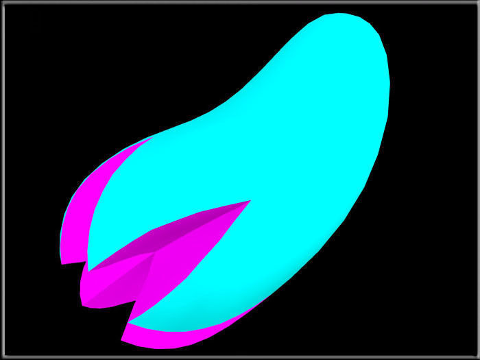 Furry Tail Low-poly 3D model_1