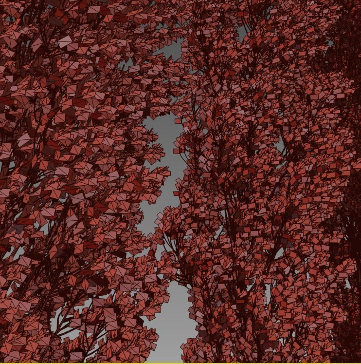 Lombardy Poplar v2 3D model_7