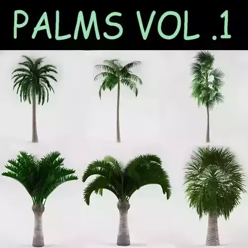 Palms Collection palm tree