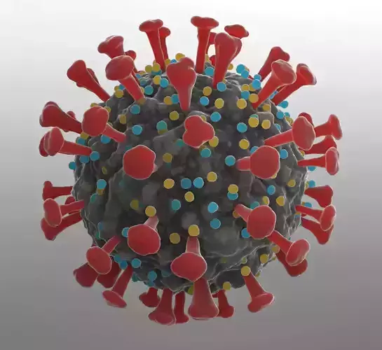 Corona Virus