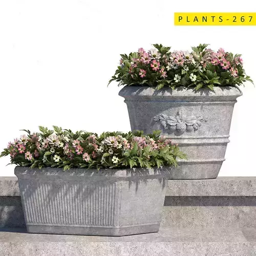 PLANTS 267