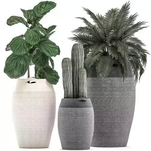 Decorative plants in flower pots for the interior 478 3D model