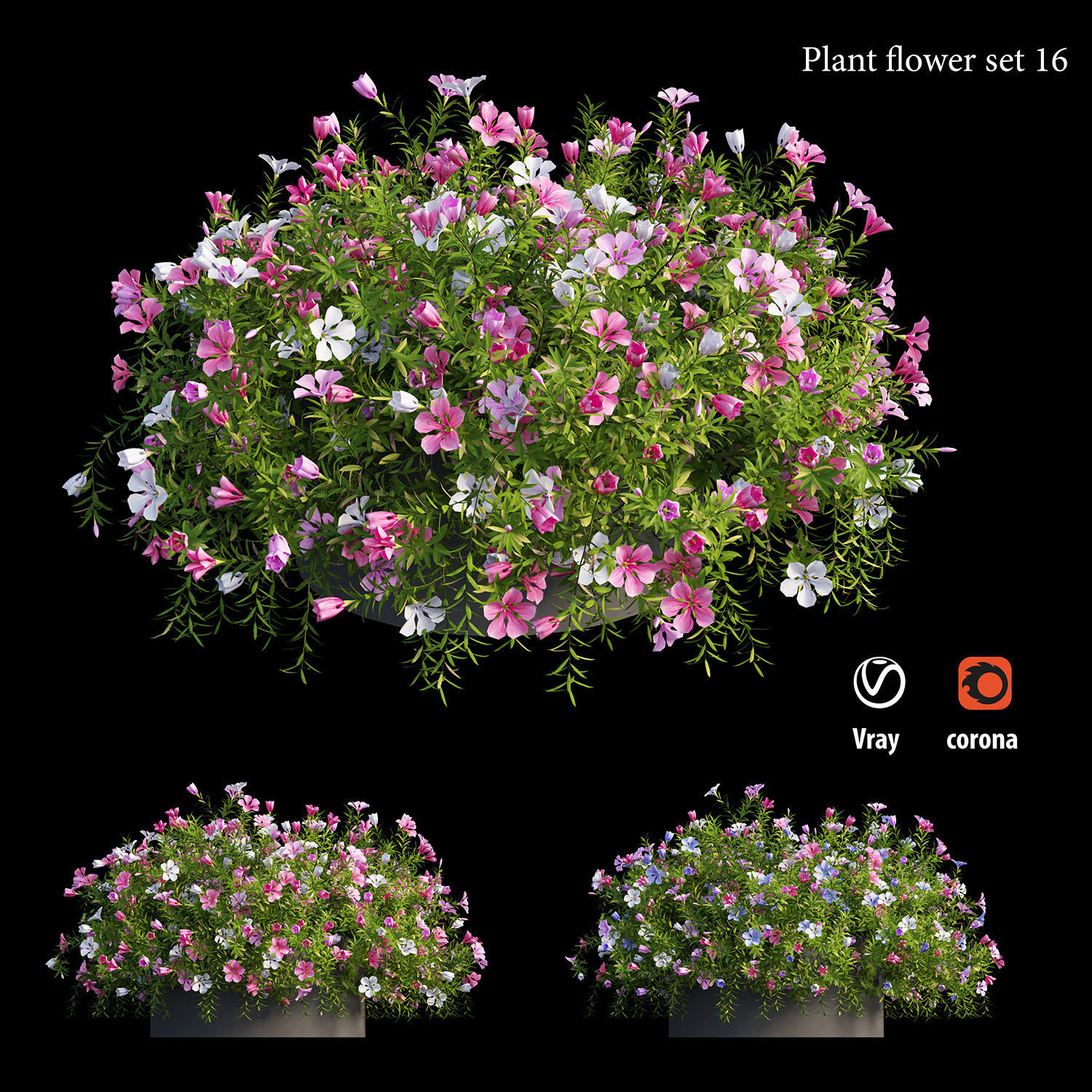 Plant flower set 16 3D model_3