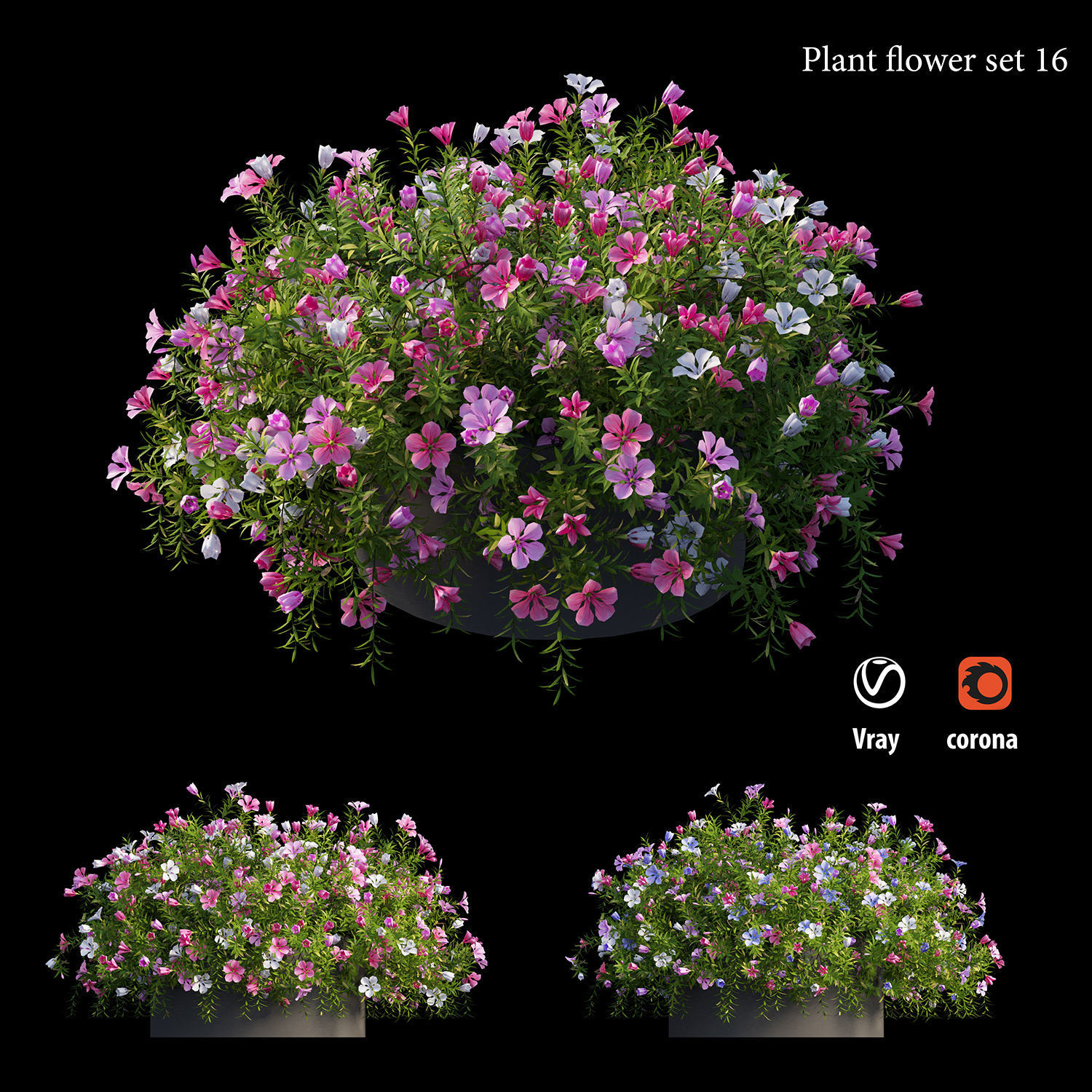 Plant flower set 16 3D model_2