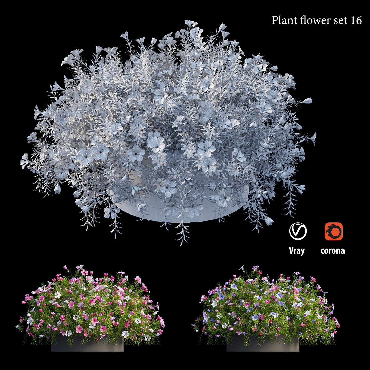 Plant flower set 16 3D model_4