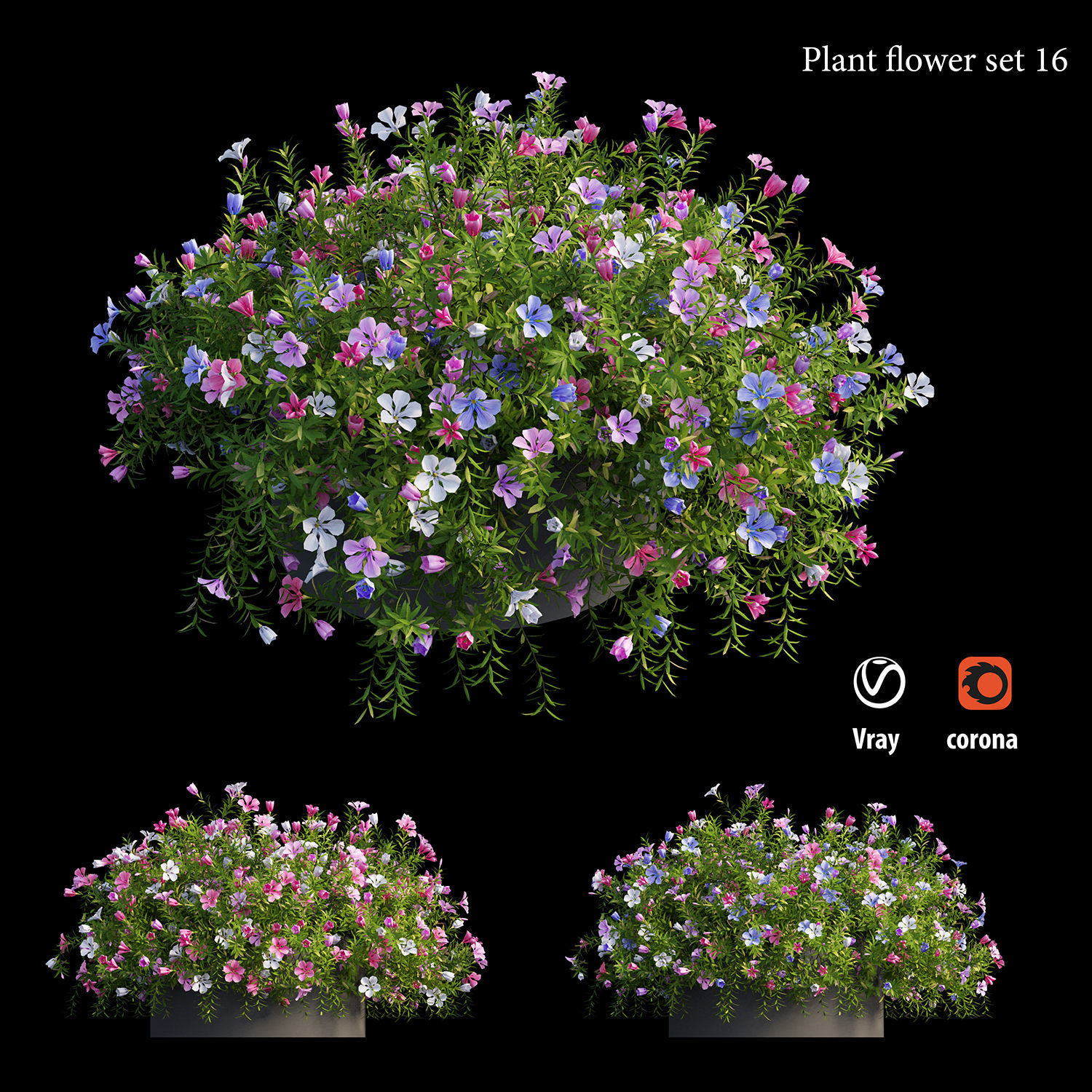 Plant flower set 16 3D model_1