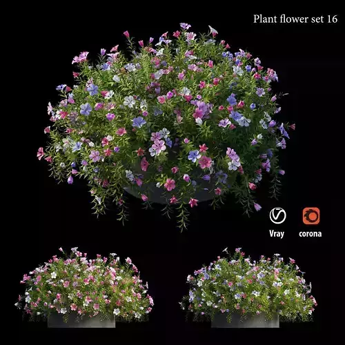 Plant flower set 16 3D model