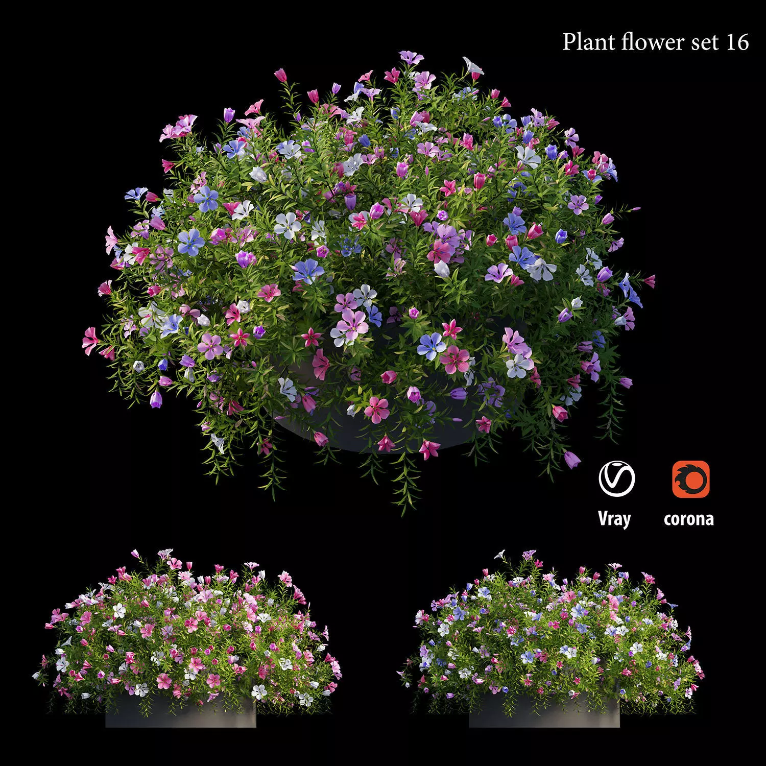 Plant flower set 16 3D model_0