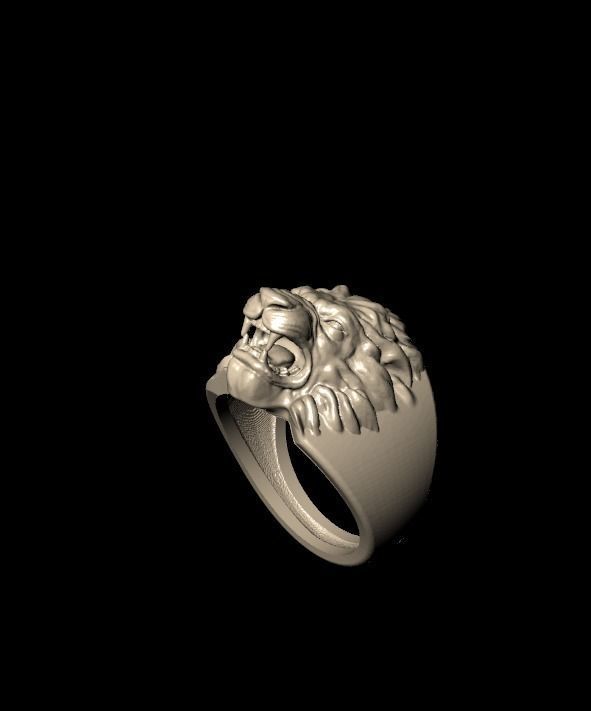 zbrush ring  3D print model_2