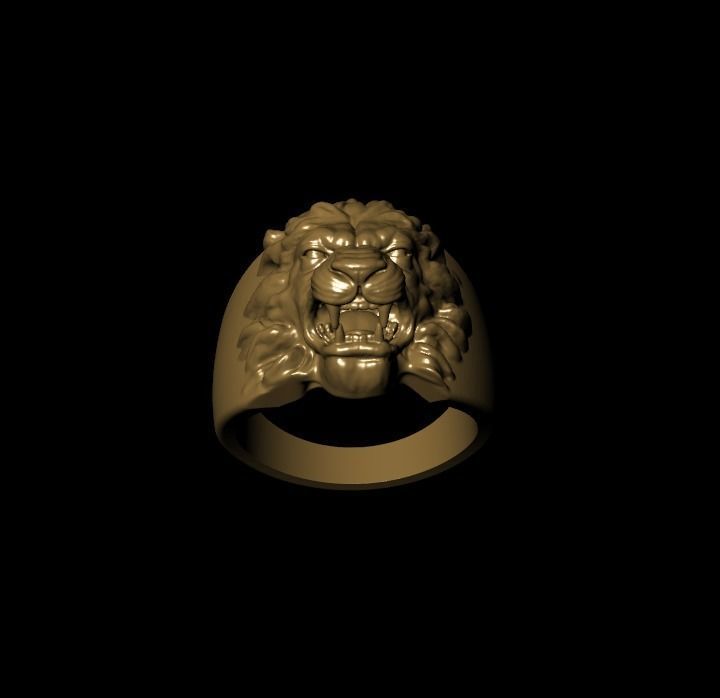 zbrush ring  3D print model_1