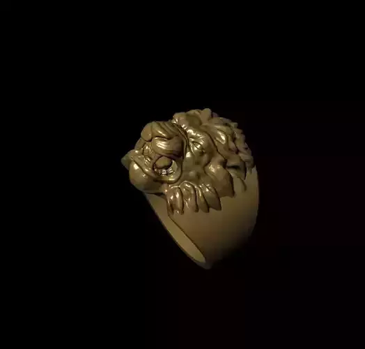 zbrush ring 