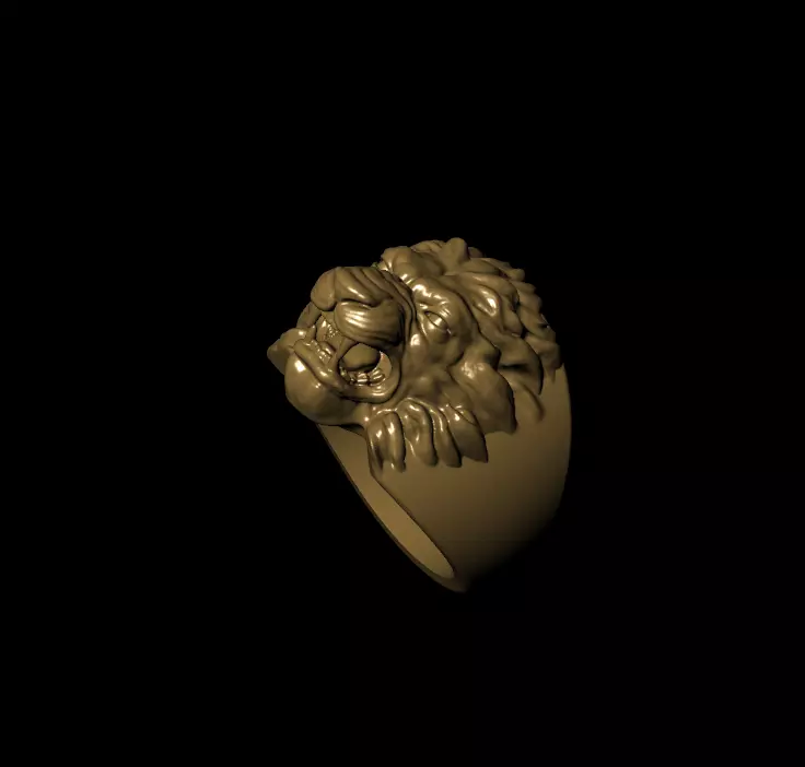 zbrush ring  3D print model_0