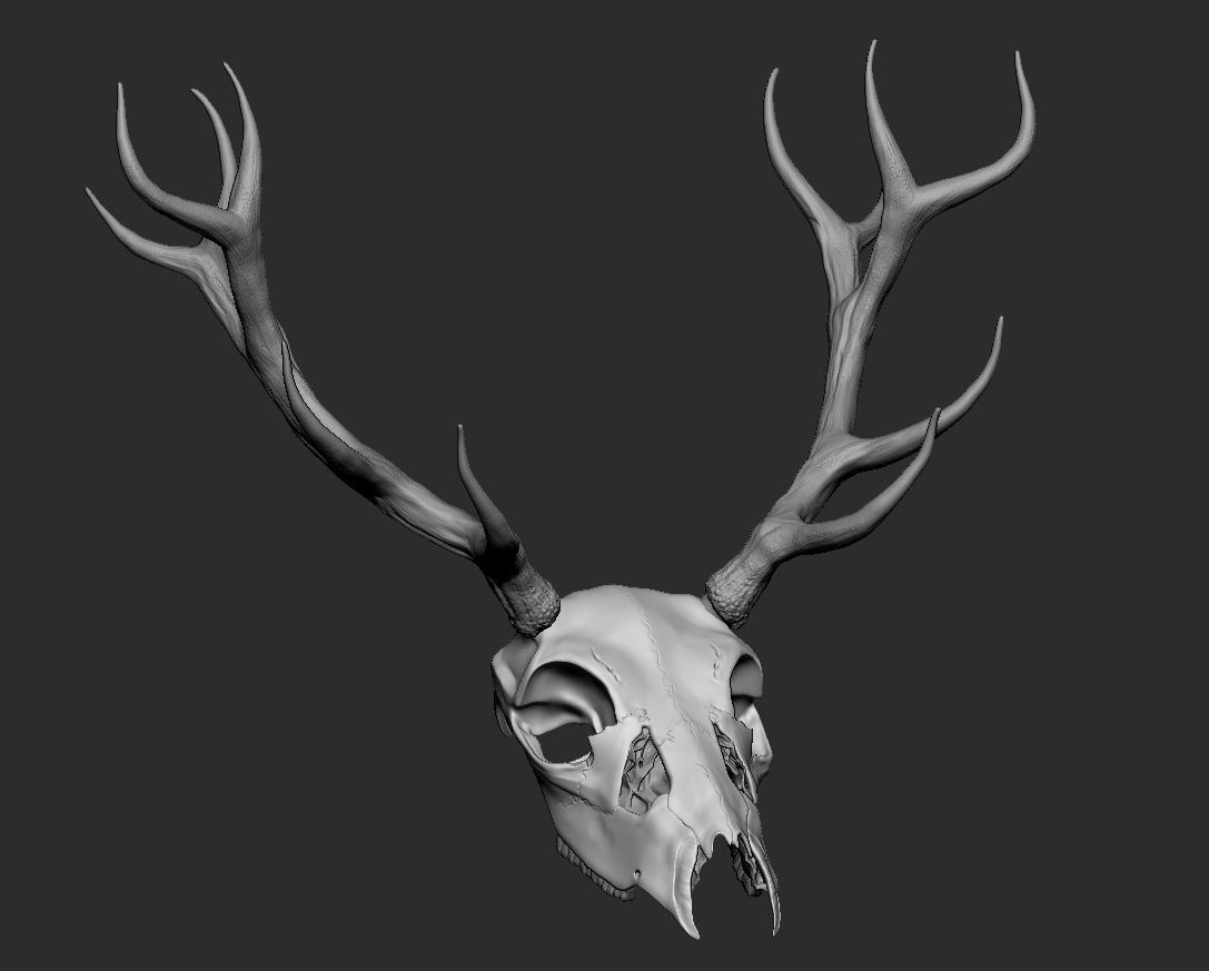 Deer skull with horns Low-poly 3D model_6