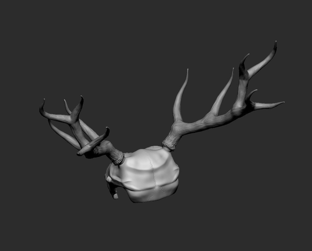 Deer skull with horns Low-poly 3D model_10