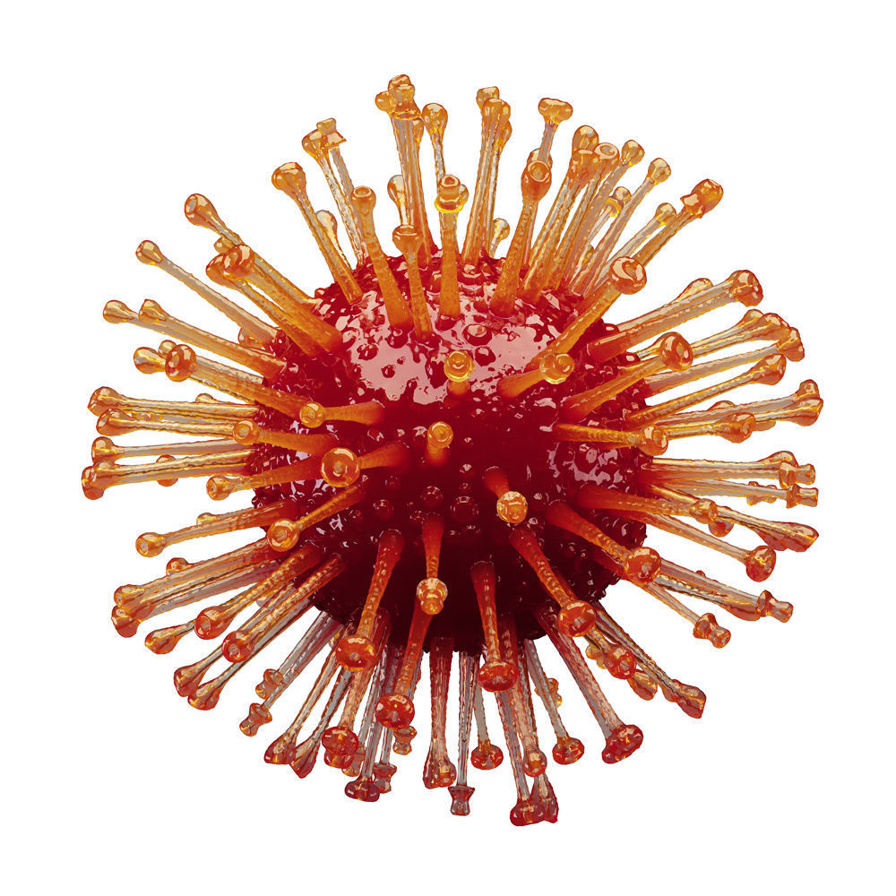Coronavirus COVID 19 3D model_2