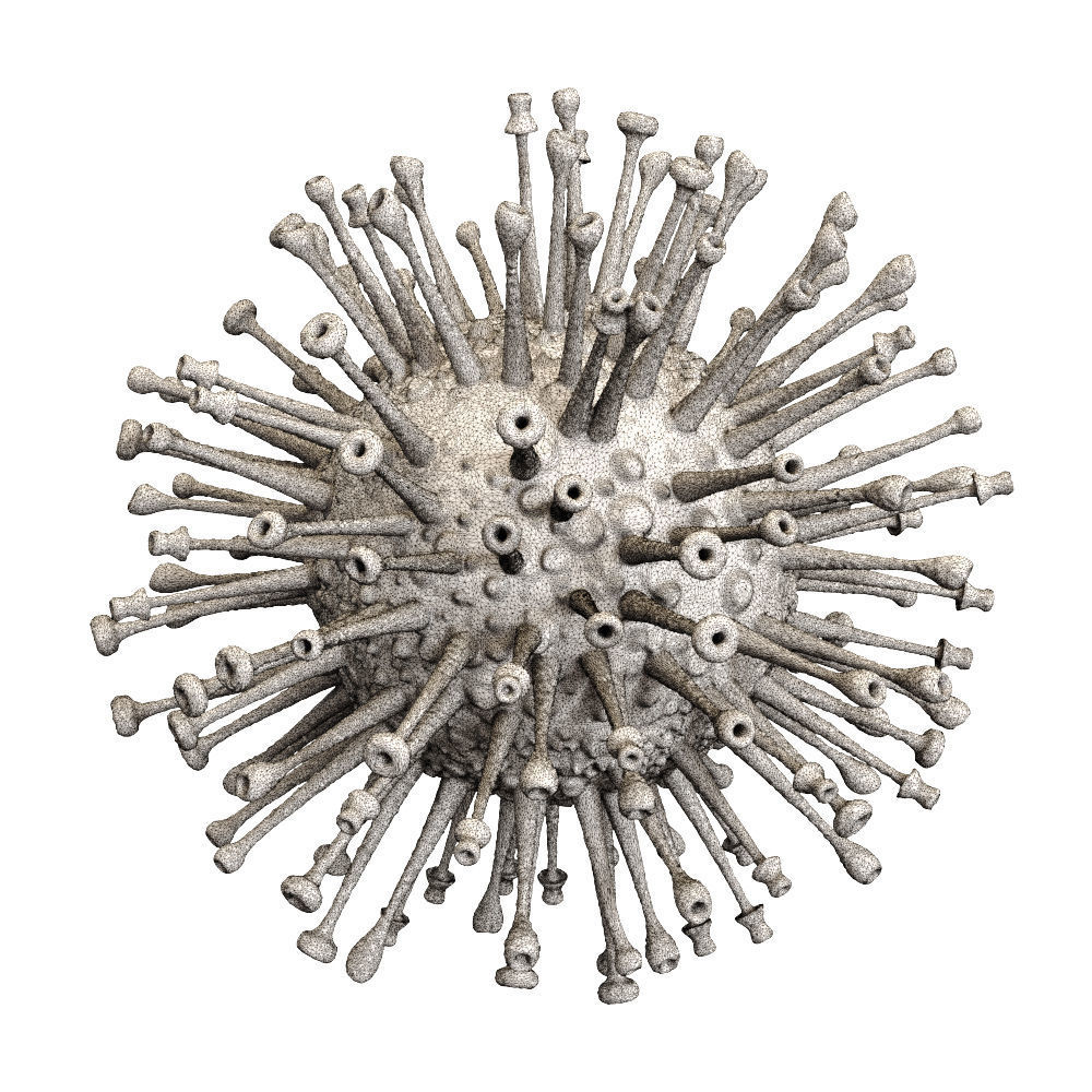 Coronavirus COVID 19 3D model_3