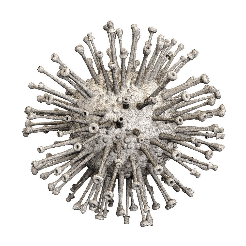 Coronavirus COVID 19 3D model_4