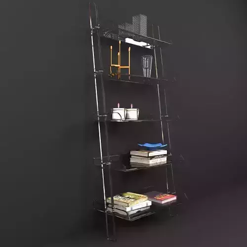 Wisteria ACRYLIC LEANING BOOKSHELF 3D model