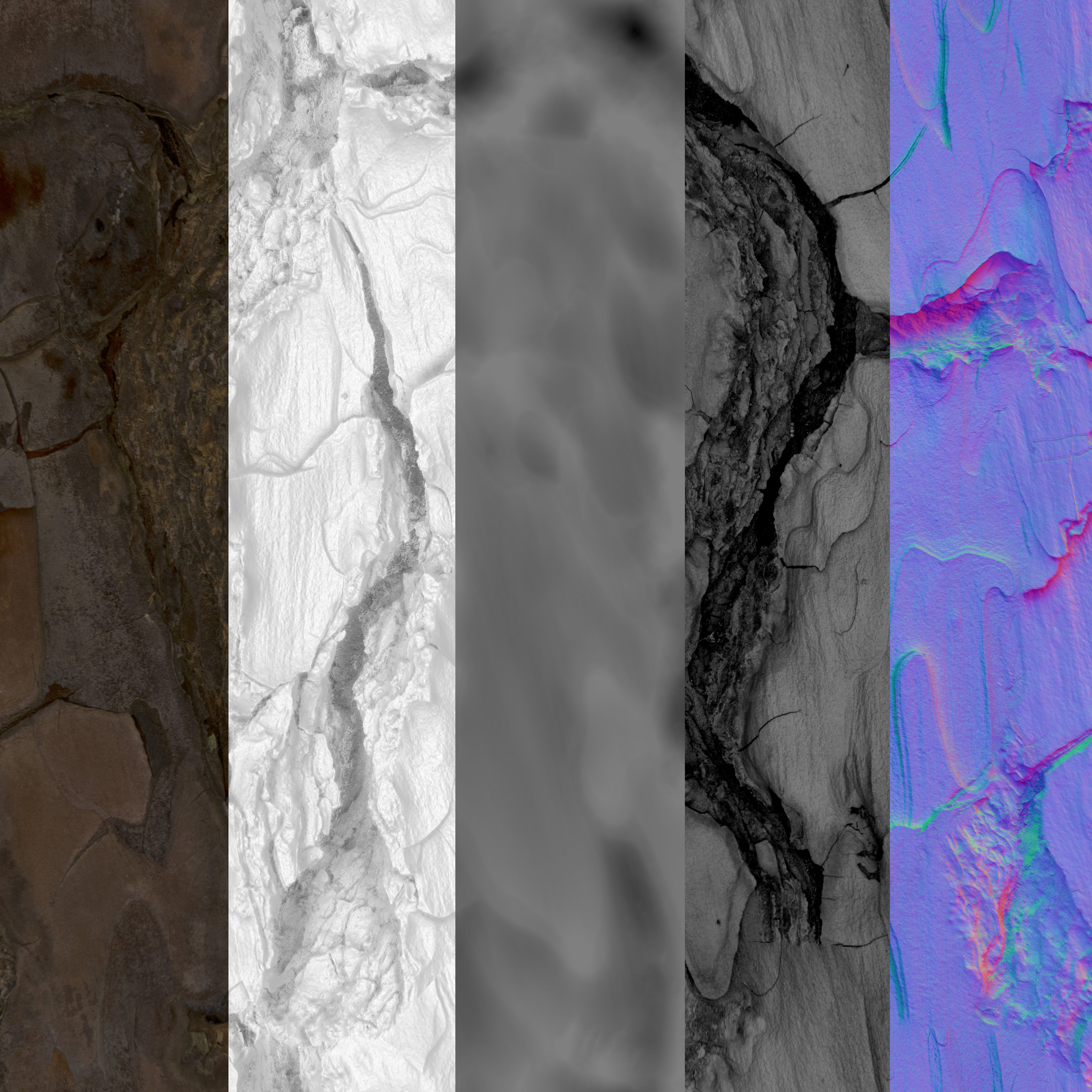 Pine 01 V-Ray Low-poly 3D model_10