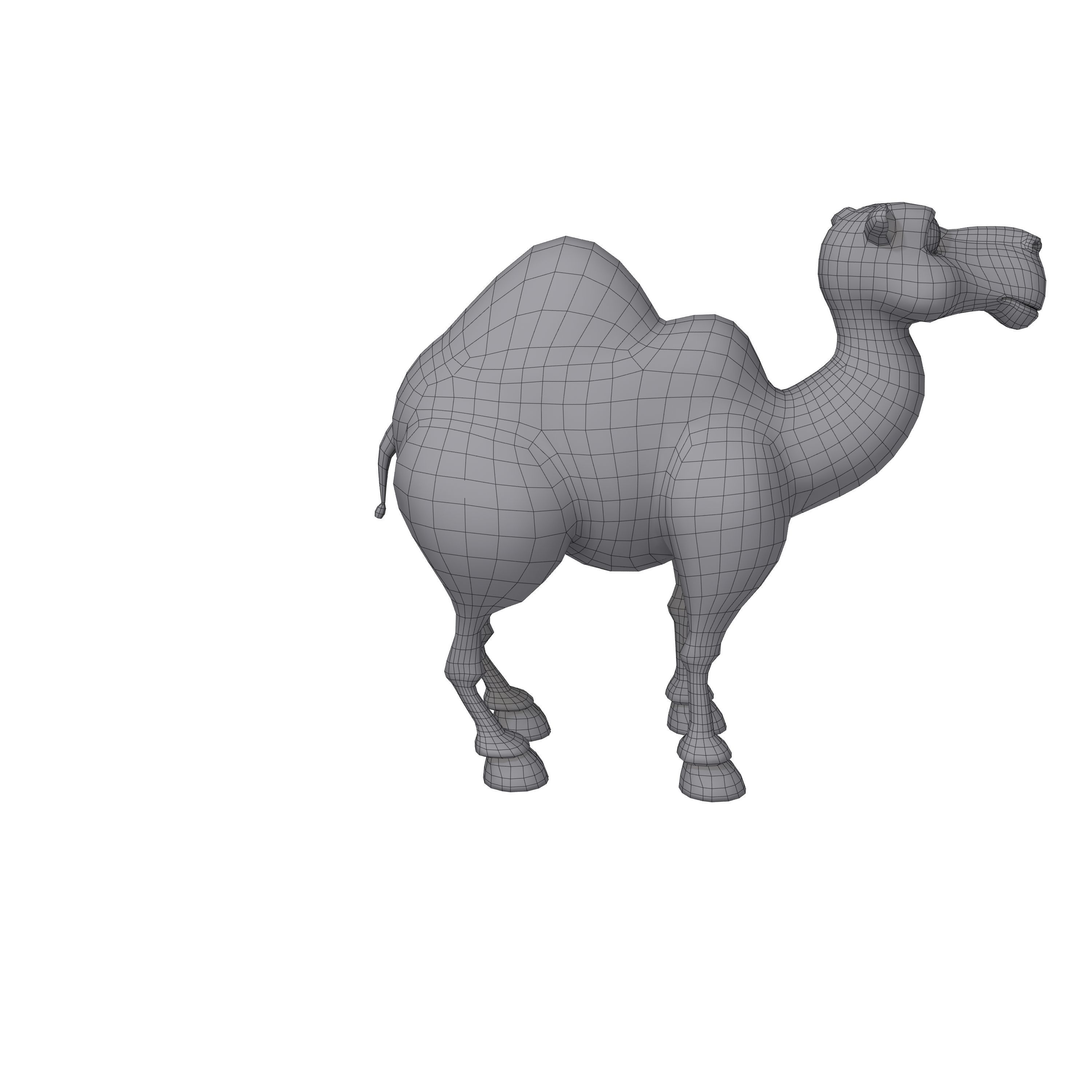 Camel Cartoon 3D model_6