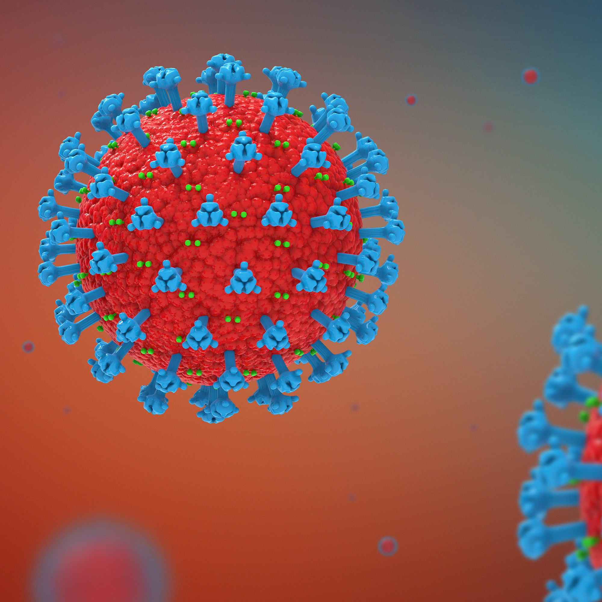 Corona Virus 3D model 3D model_3