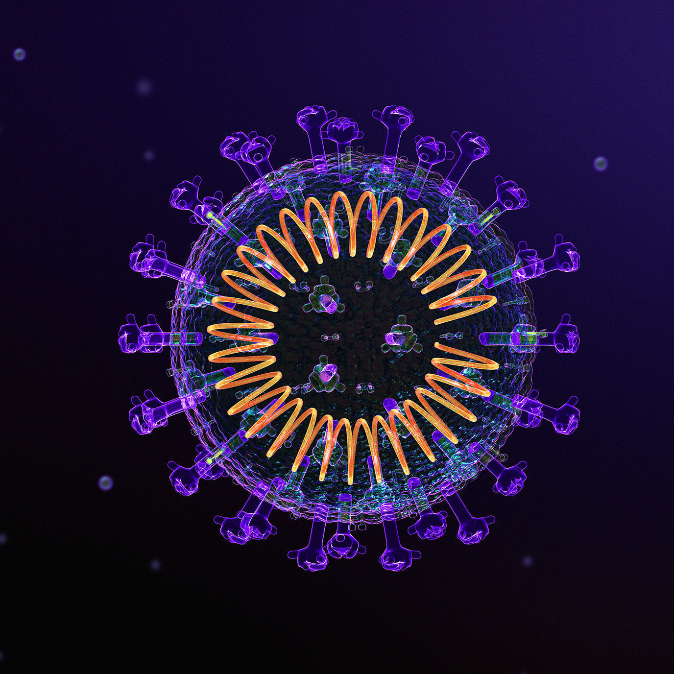 Corona Virus 3D model 3D model_1