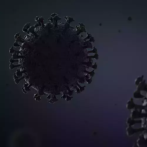 Corona Virus 3D model 3D model
