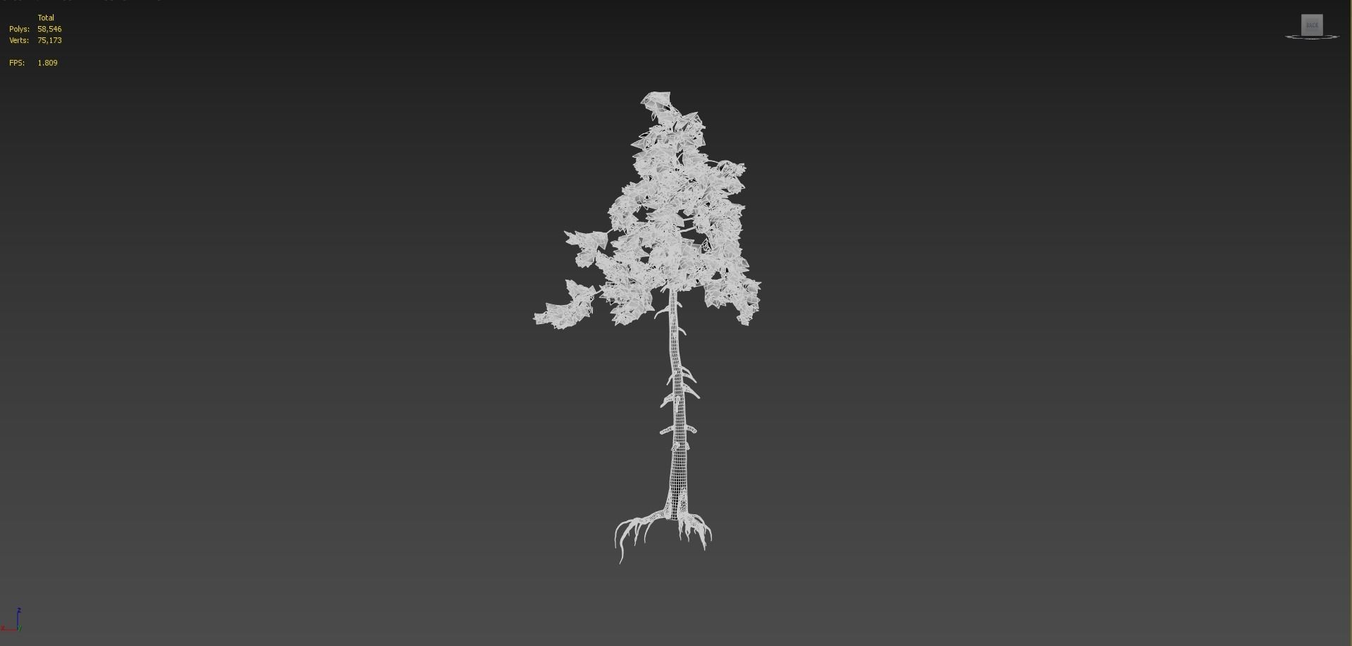 Pine 01 Corona 3D model_10