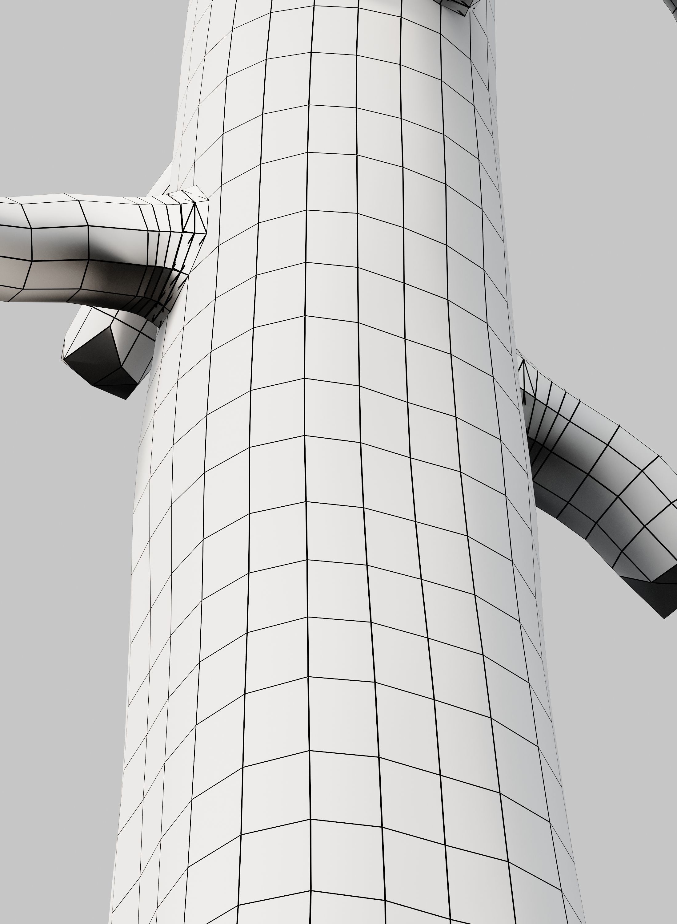 Pine 01 Corona 3D model_7