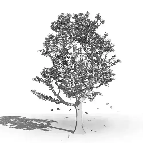 Revit scalable and detailed tree arquitree22 detailed 3D model