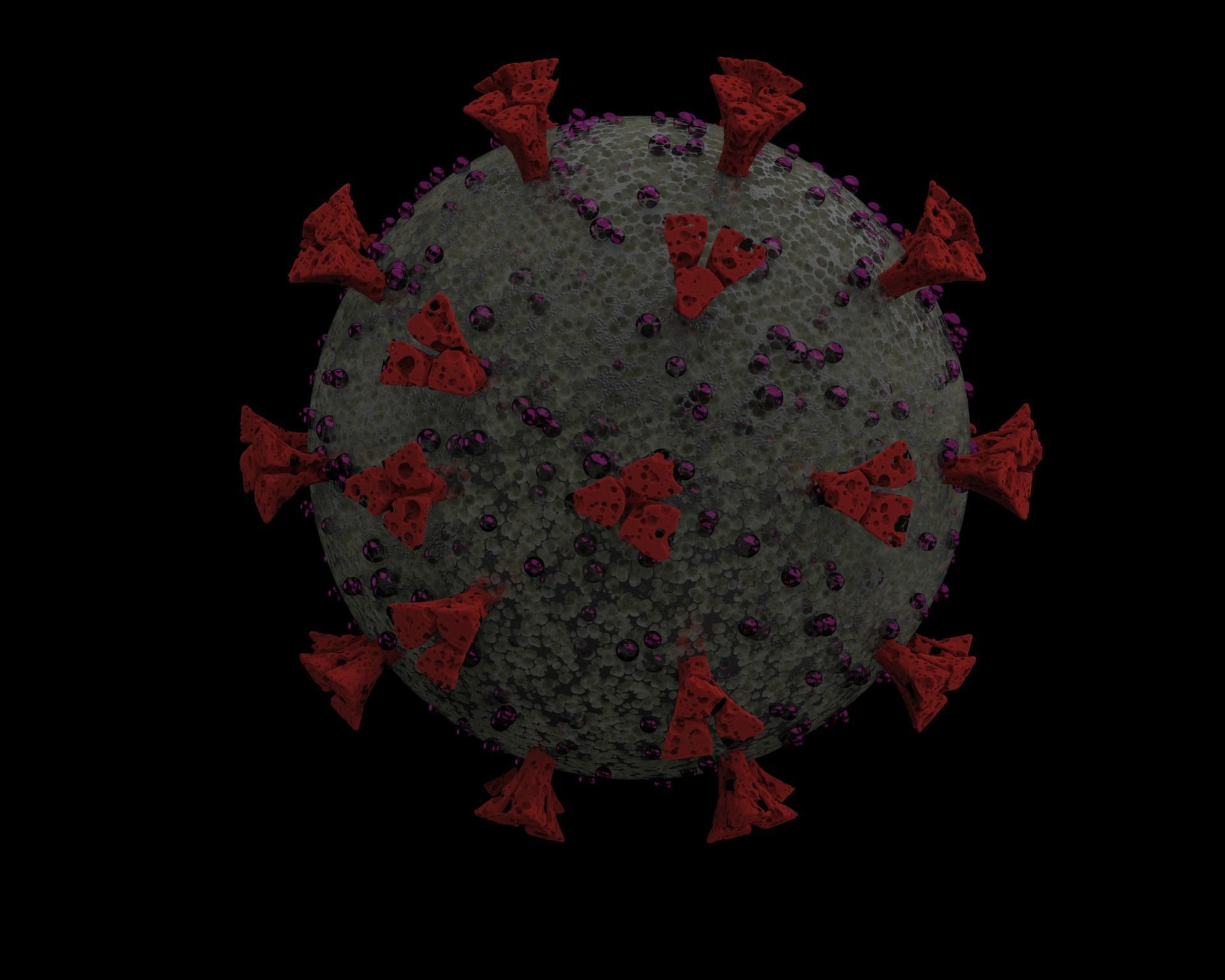 COVID-19 coronavirus 3D model_1