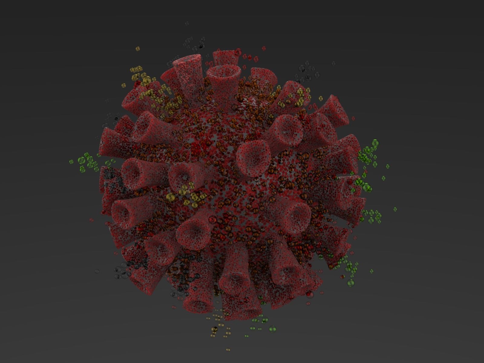 COVID-19 coronavirus 3D model_2