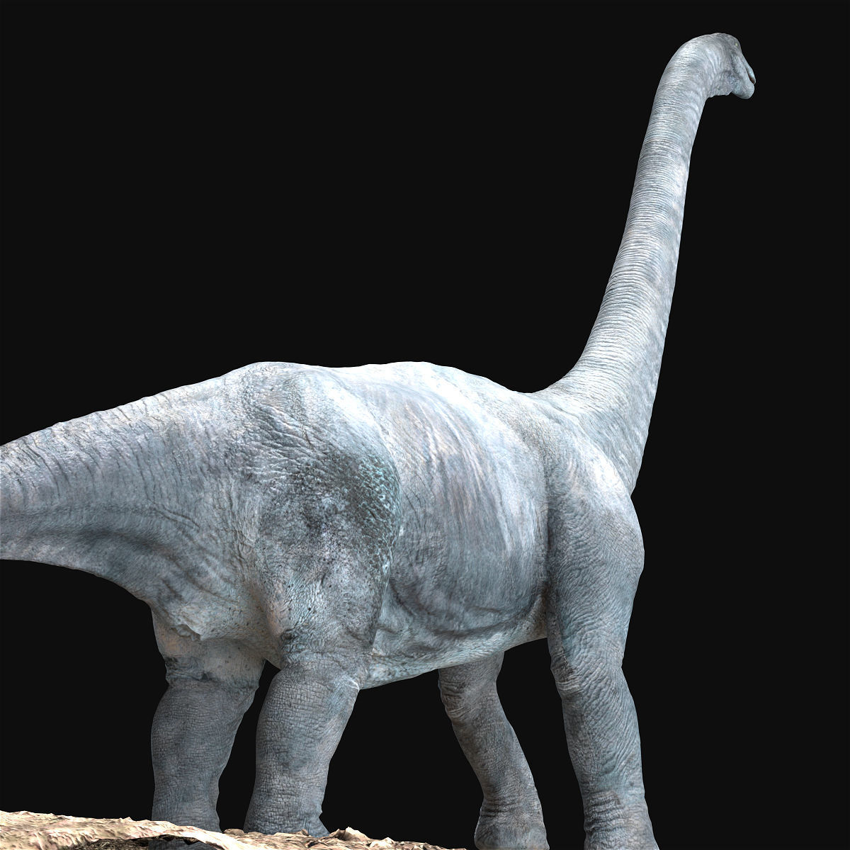 Brachiosaurus Rigged Low-poly 3D model_7