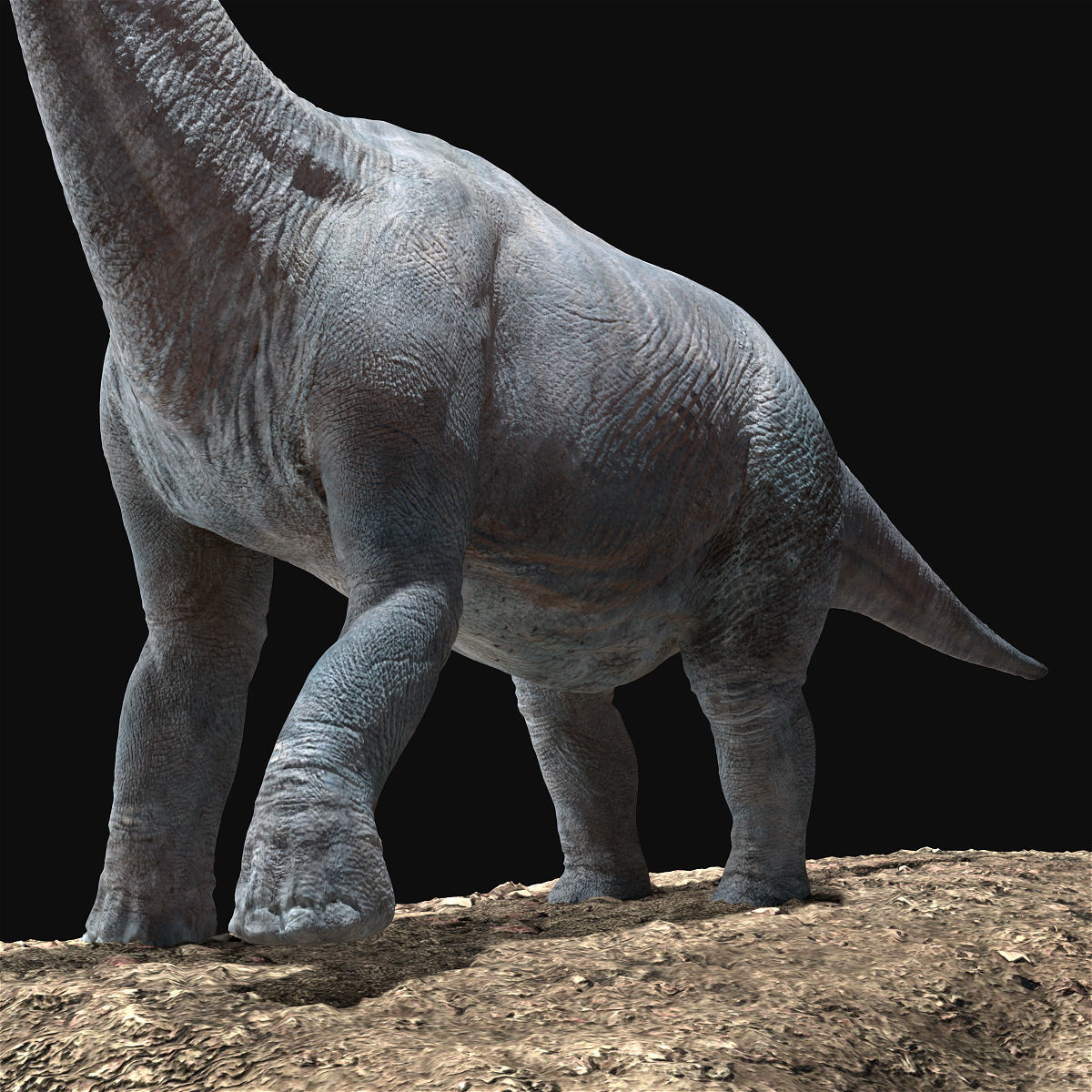 Brachiosaurus Rigged Low-poly 3D model_4
