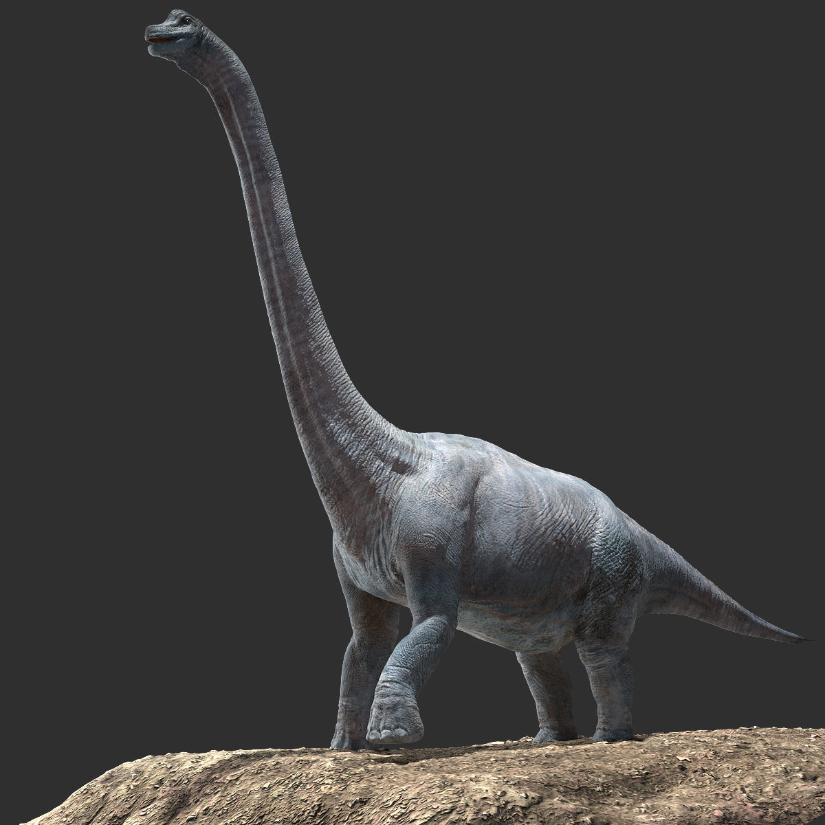 Brachiosaurus Rigged Low-poly 3D model_1