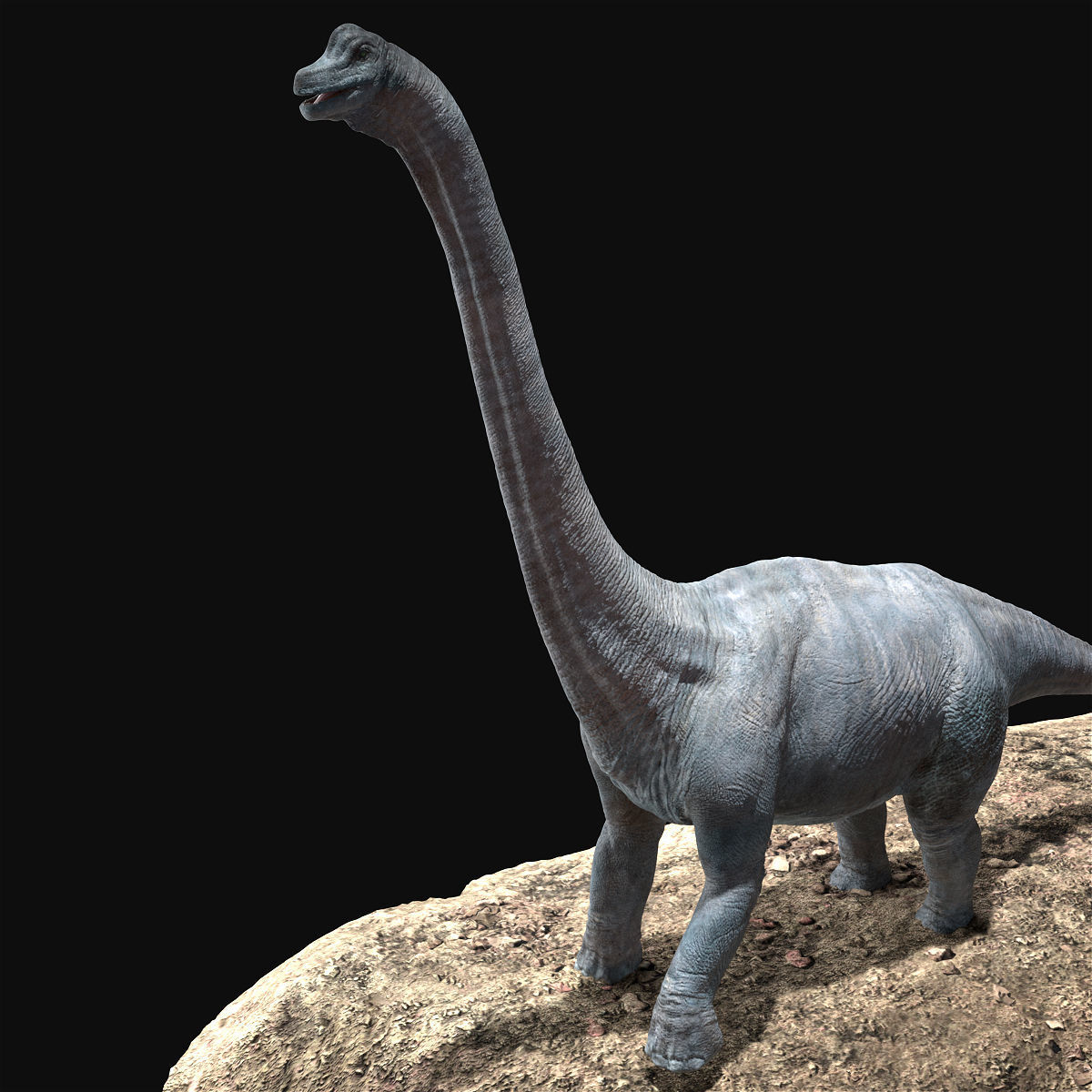 Brachiosaurus Rigged Low-poly 3D model_12
