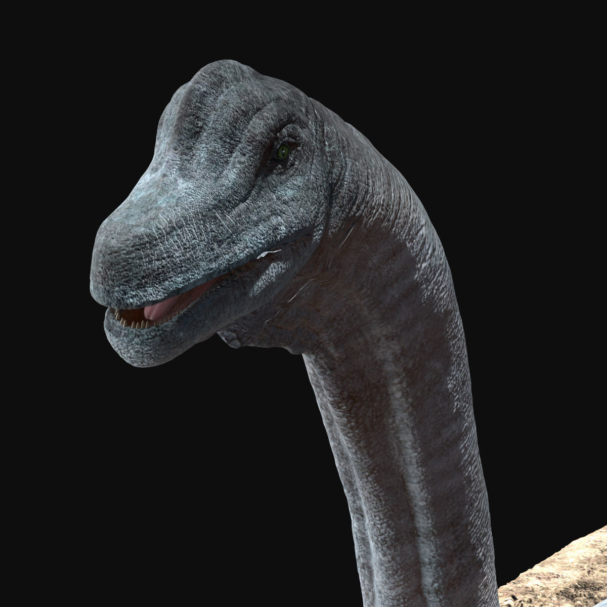Brachiosaurus Rigged Low-poly 3D model_3