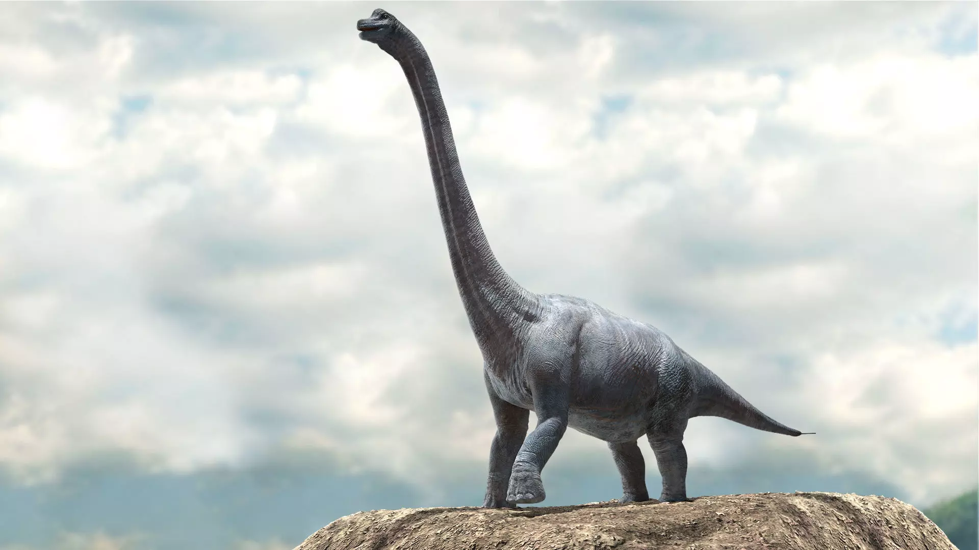Brachiosaurus Rigged Low-poly 3D model_0