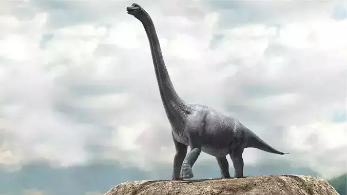 Brachiosaurus Rigged Low-poly 3D model