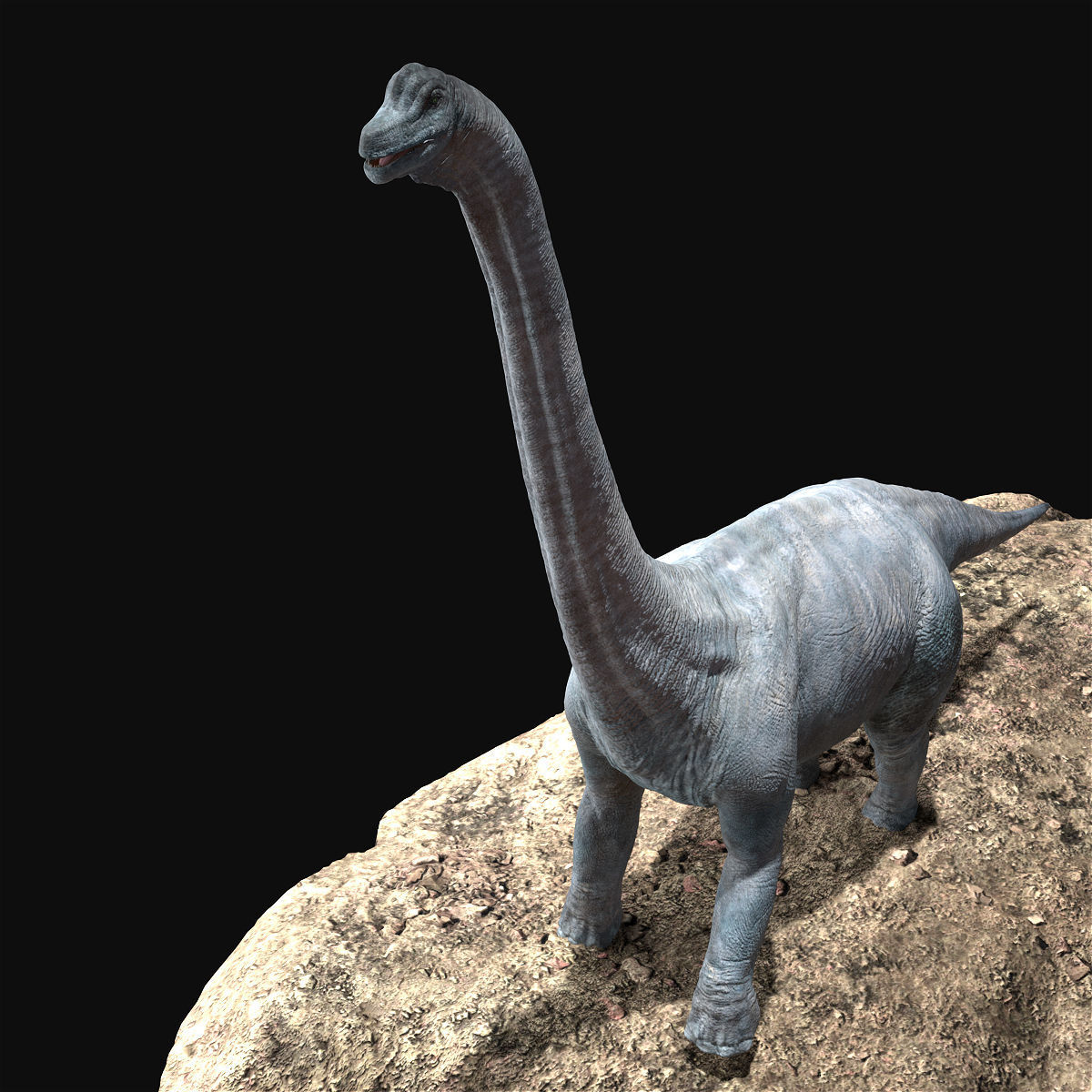 Brachiosaurus Rigged Low-poly 3D model_11