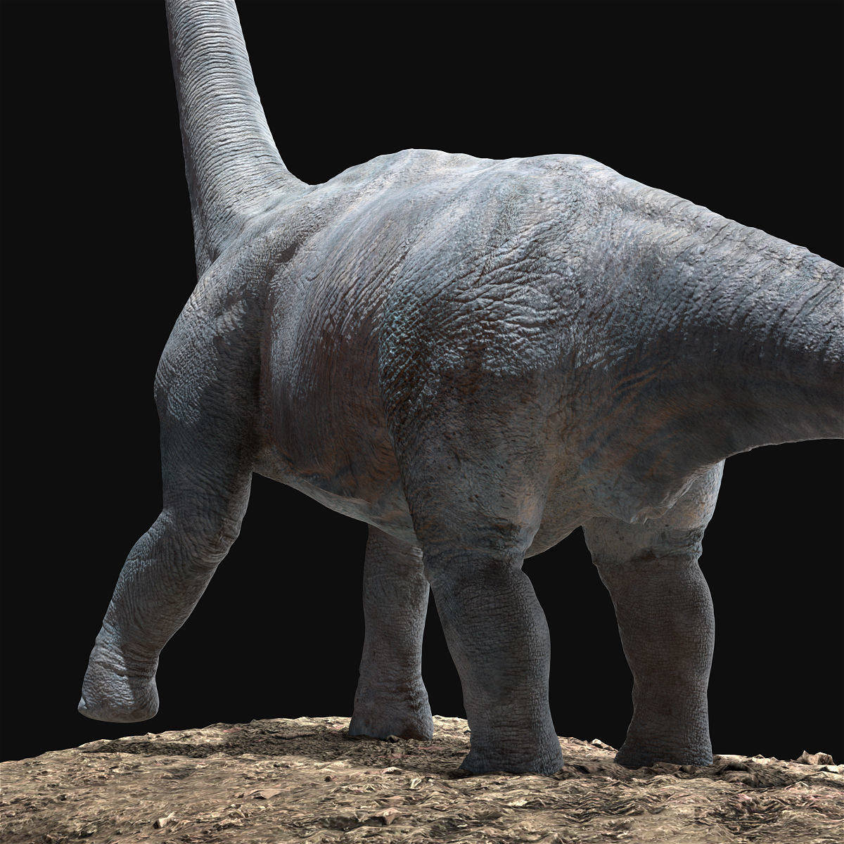 Brachiosaurus Rigged Low-poly 3D model_6