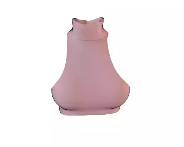 Stylish Designer Women High Neck Sleeveless  Crop Top 3D model 3D model