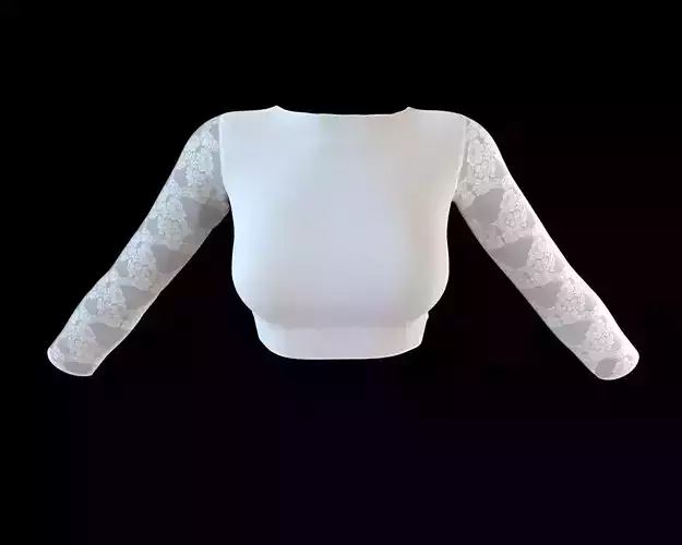 Stylish Designer Women Lace Top 3D model 3D model