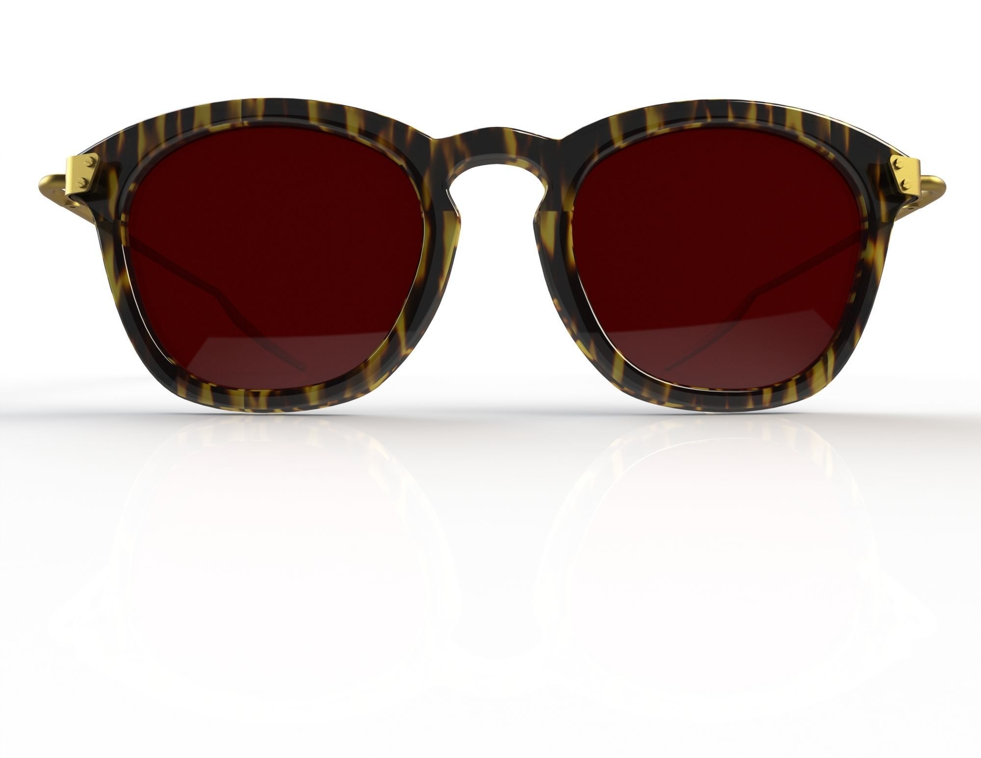 anatomically correct Sunglasses 3D model_1