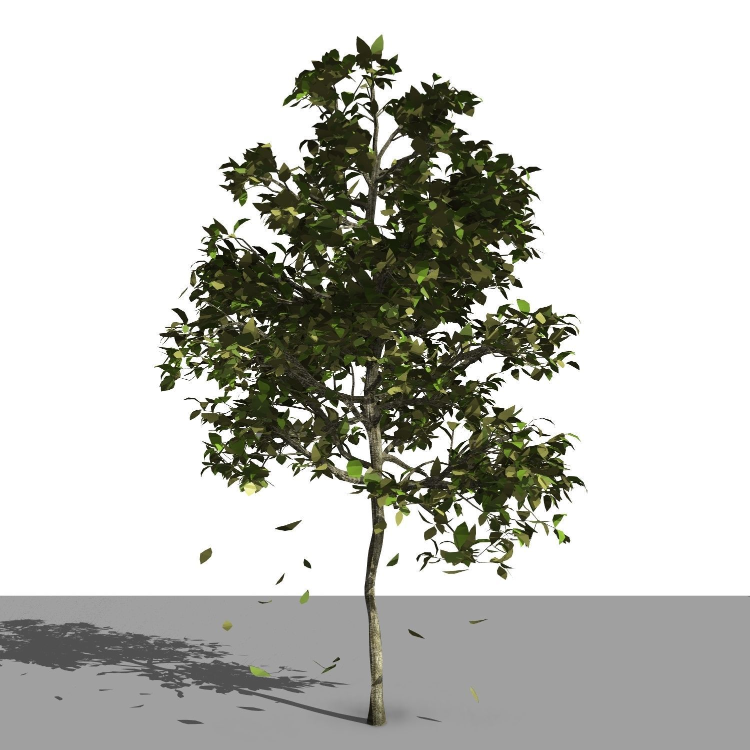 Revit scalable and detailed tree arquitree07 detailed 3D model_5